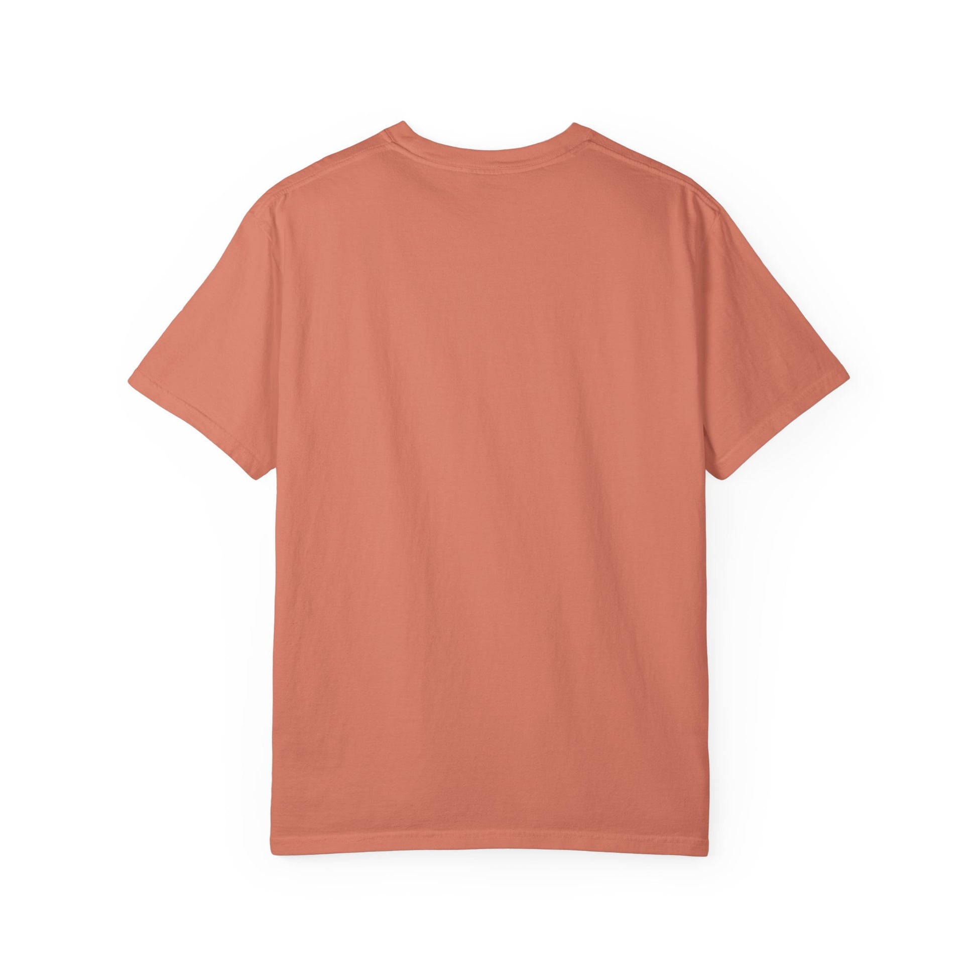 Back view of a plain terracotta t-shirt on a white background